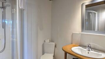 A bathroom with a glass-enclosed shower, a white toilet, a wooden vanity with a sink, and a mirror above the sink.