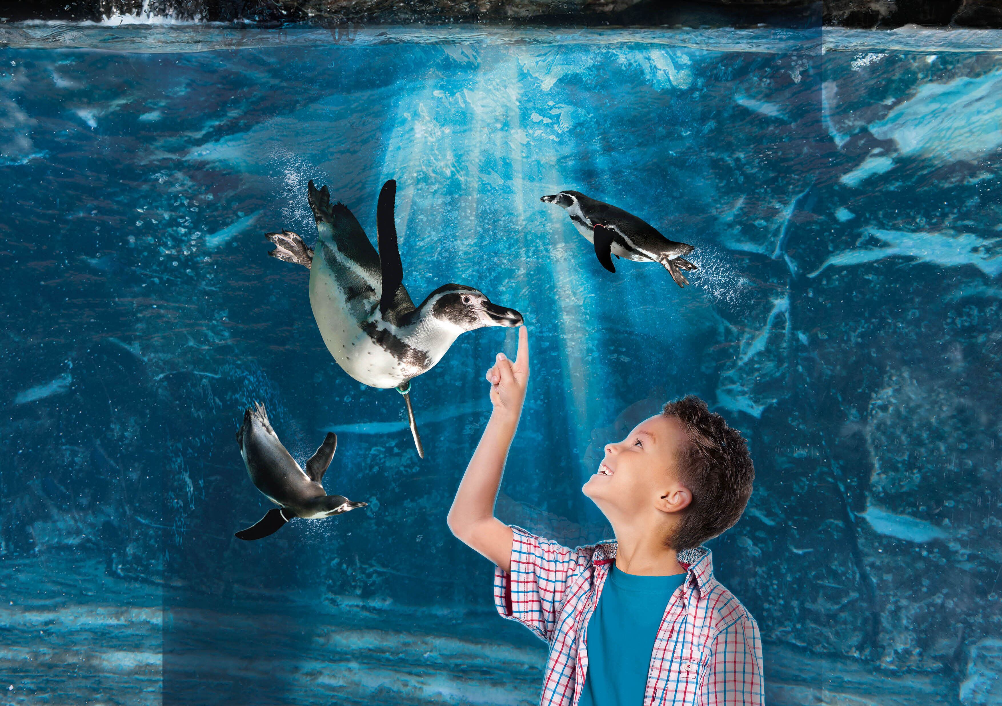 Foto - Hotel Darsena