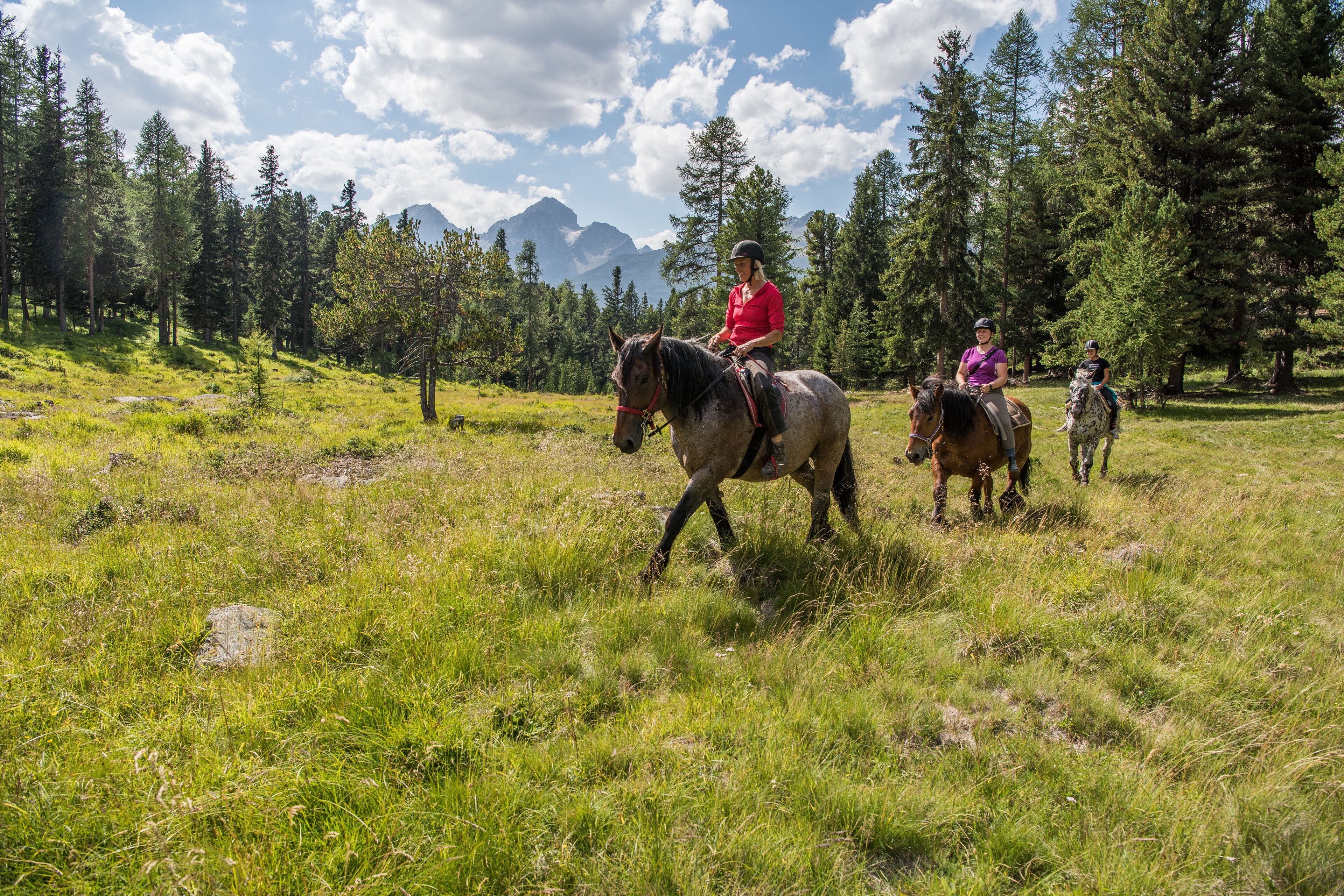 Un gruppo di persone cavalca in un campo erboso, con alberi e montagne sullo sfondo.