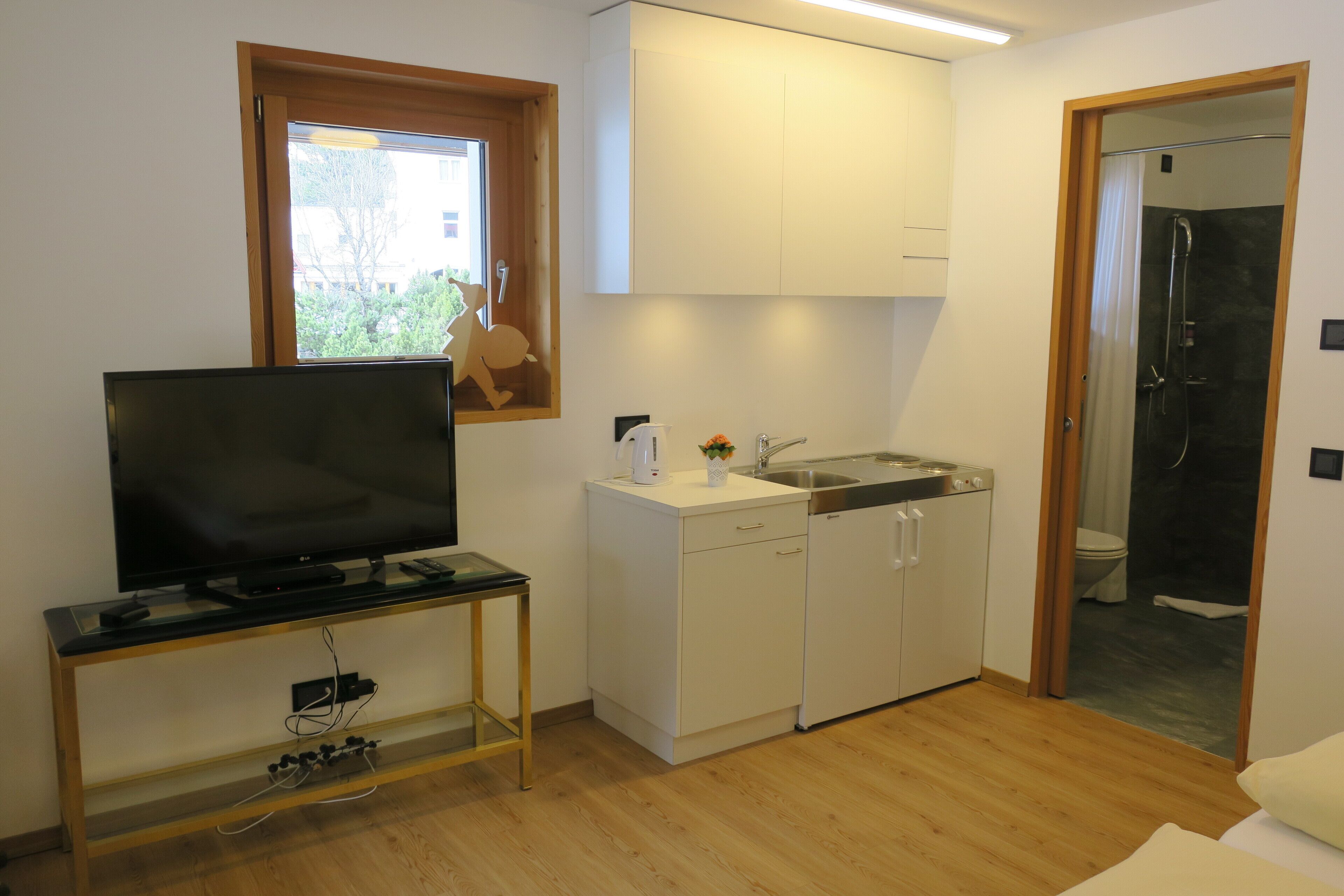 A compact room with a television on a stand, a small kitchen area with a sink and cabinets, and a shower visible through an open door.