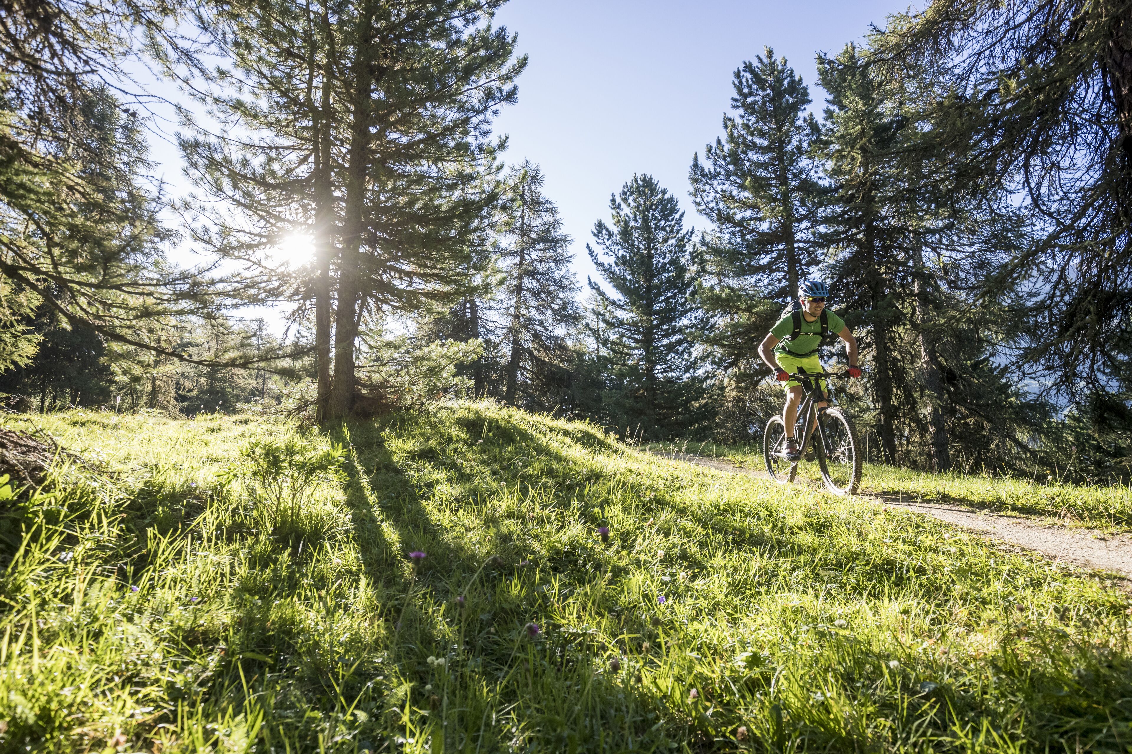 Un cycliste sur un chemin de terre, entouré de grands arbres et baigné par la lumière du soleil qui filtre à travers les feuilles.