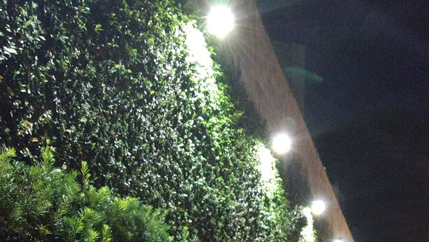 A nighttime view of a well-maintained hedge along a sidewalk, with a car parked on the right and a building with multiple lights in the background. - Villa Sophia (São Paulo)
