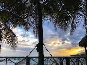 A hammock tied between two palm trees overlooking the ocean with a sunset in the background. - Coterelle Breeze (Marigot)