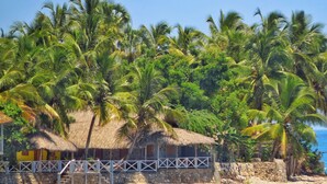 A beachside hut with a thatched roof, surrounded by palm trees, and overlooking the sea. - Coterelle Breeze (Marigot)