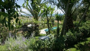 A lush garden with a pool, surrounded by various plants and trees. - Villa Rondanella (Fermo)