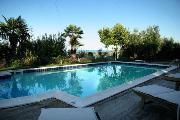 A swimming pool with lounge chairs and palm trees.