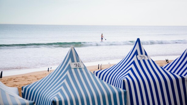Beach umbrellas with numbers, a sandy beach, and a person paddling in the water.