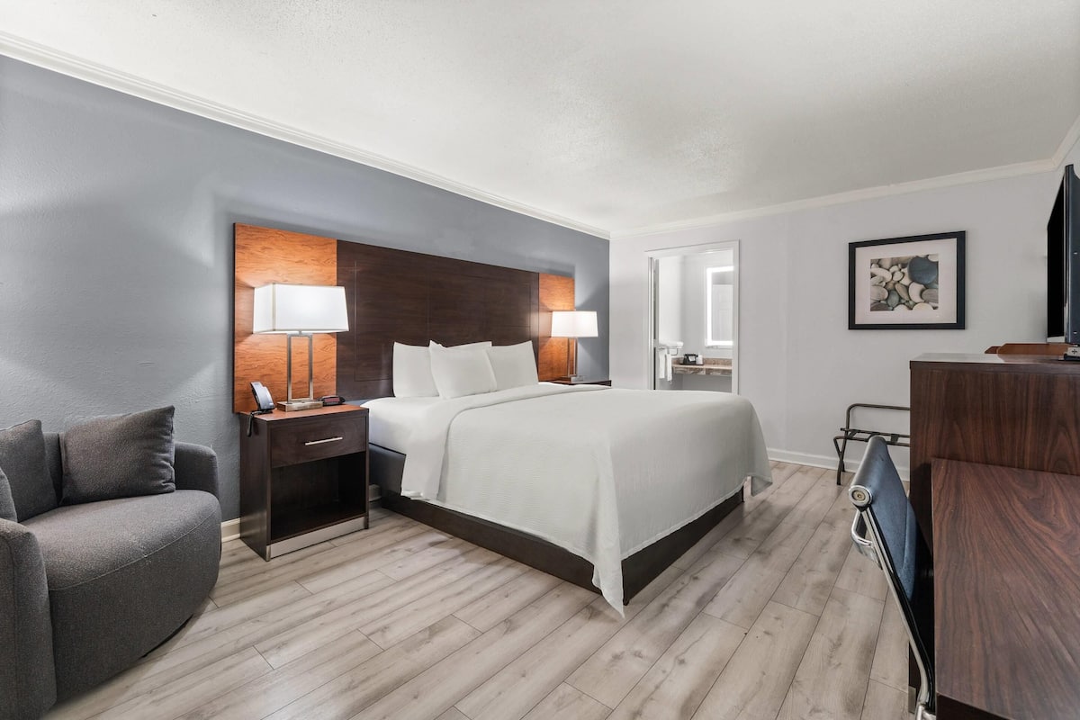 Premium bedding, desk, iron/ironing board, free WiFi