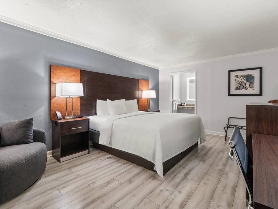 Premium bedding, desk, iron/ironing board, WiFi (free)