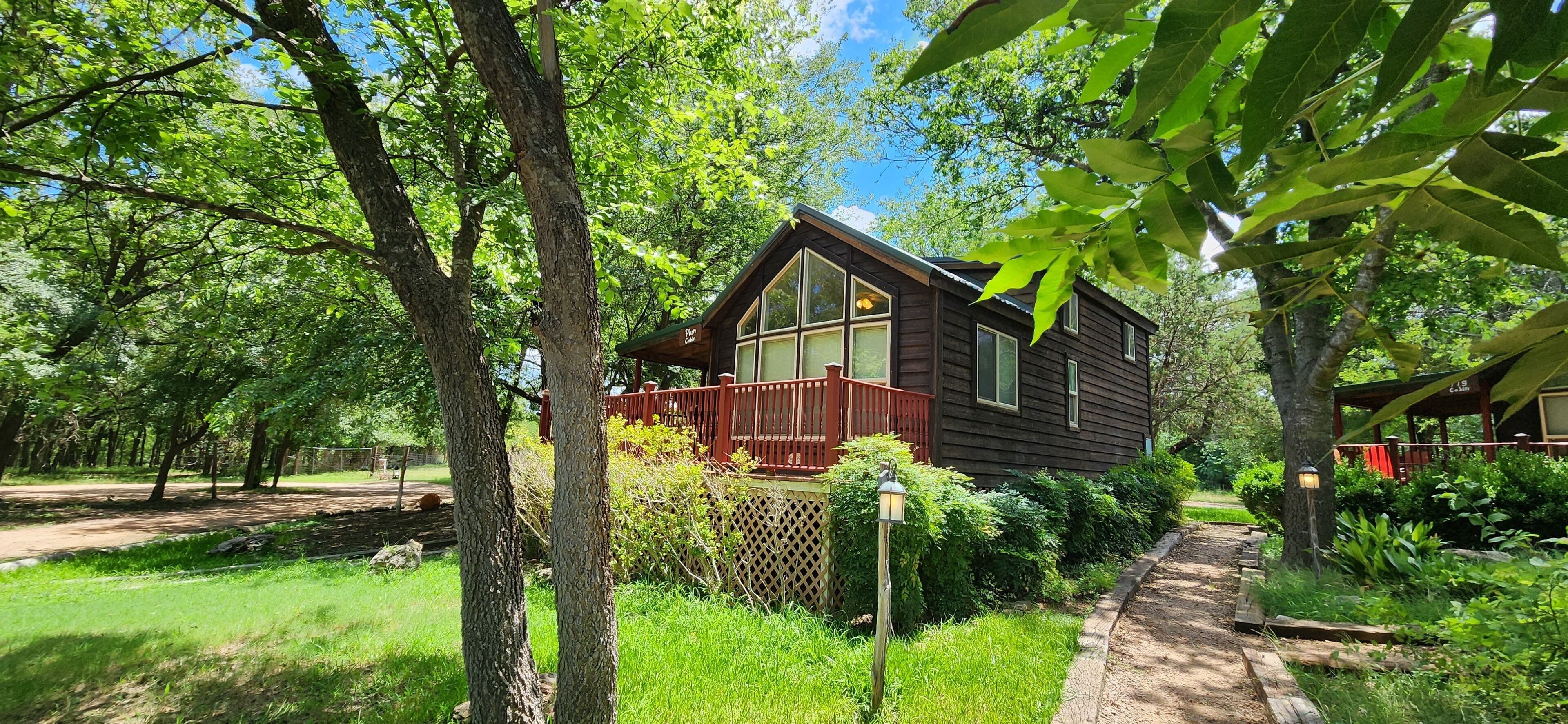 A wooden cabin with large windows, surrounded by lush greenery and a wooden deck.