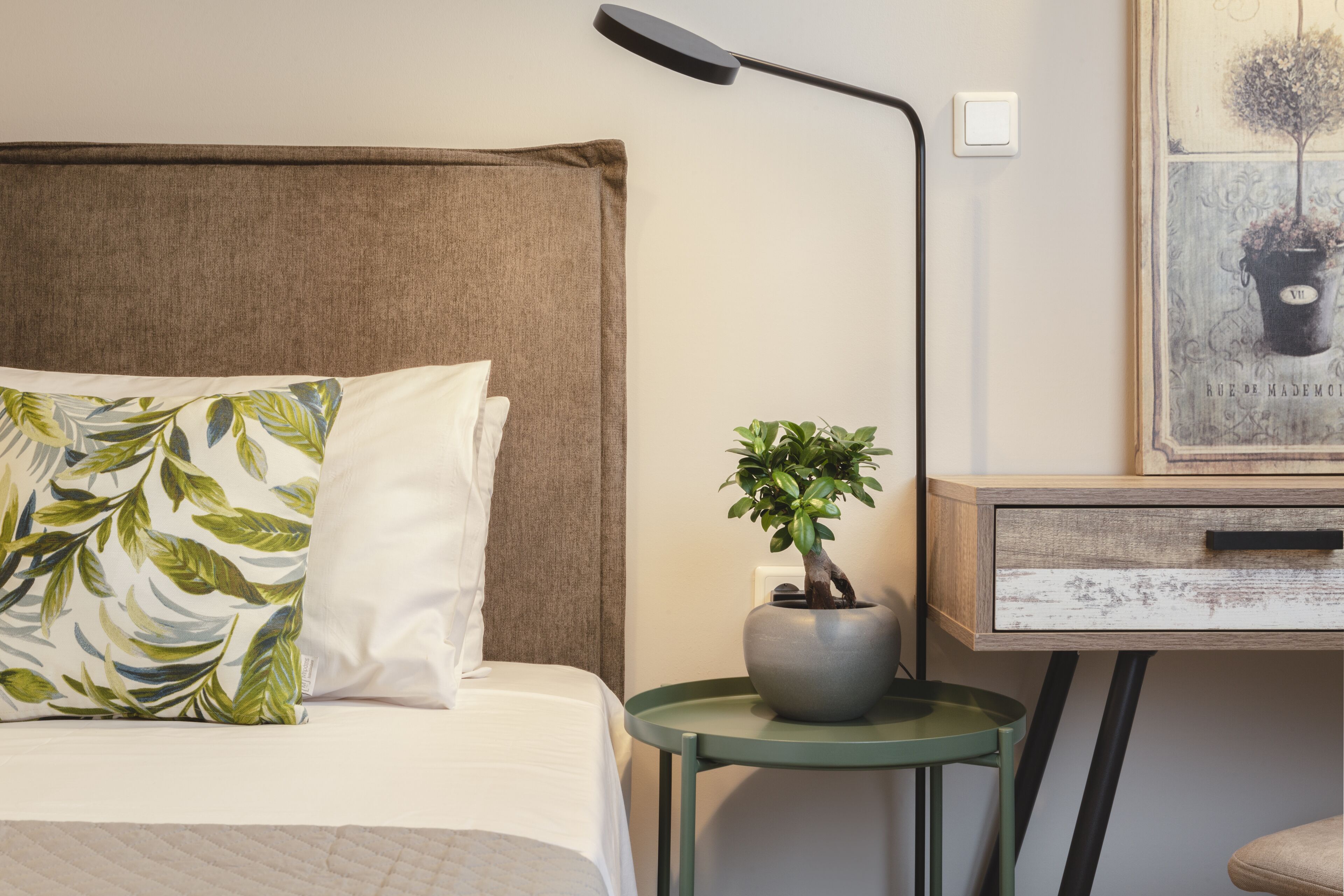A neatly made bed with a pillow and a green plant on a small table beside it.