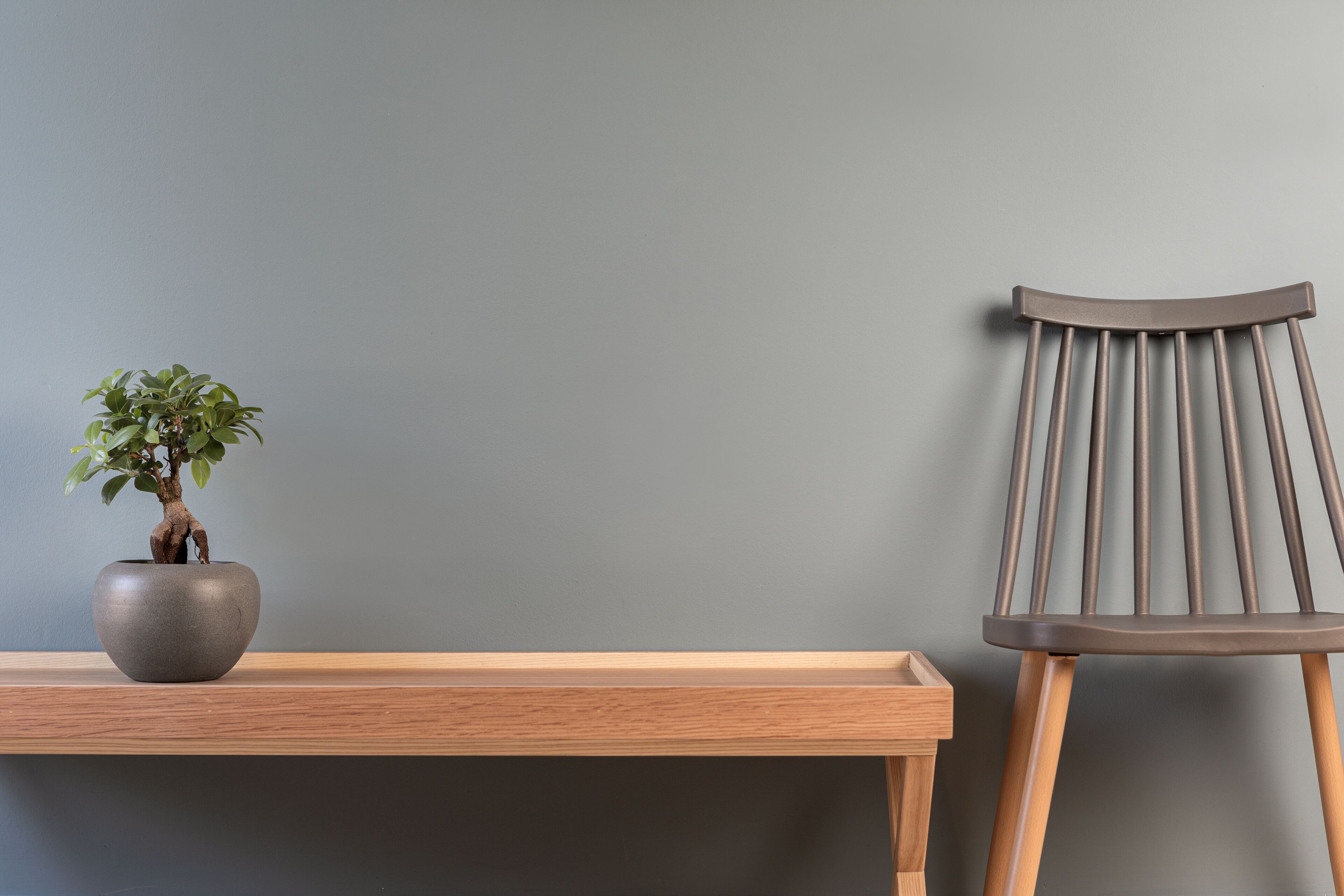 Un banc en bois avec un bonsaï dans un pot gris.
