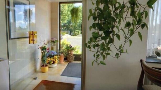 Ein modernes Interieur mit Glastür zu einem Außenbereich, einem Holztisch mit Blumenvase und einer hängenden Pflanze.