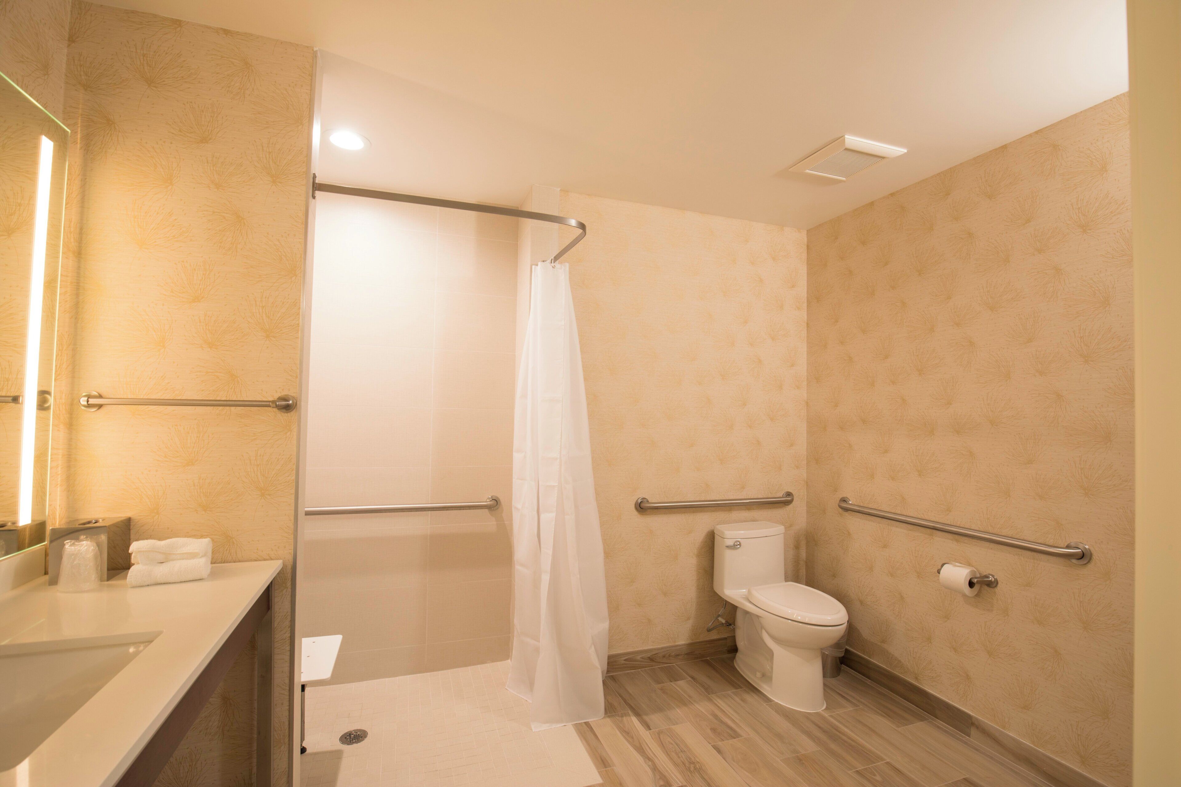 A bathroom with a shower, toilet, and handrails.
