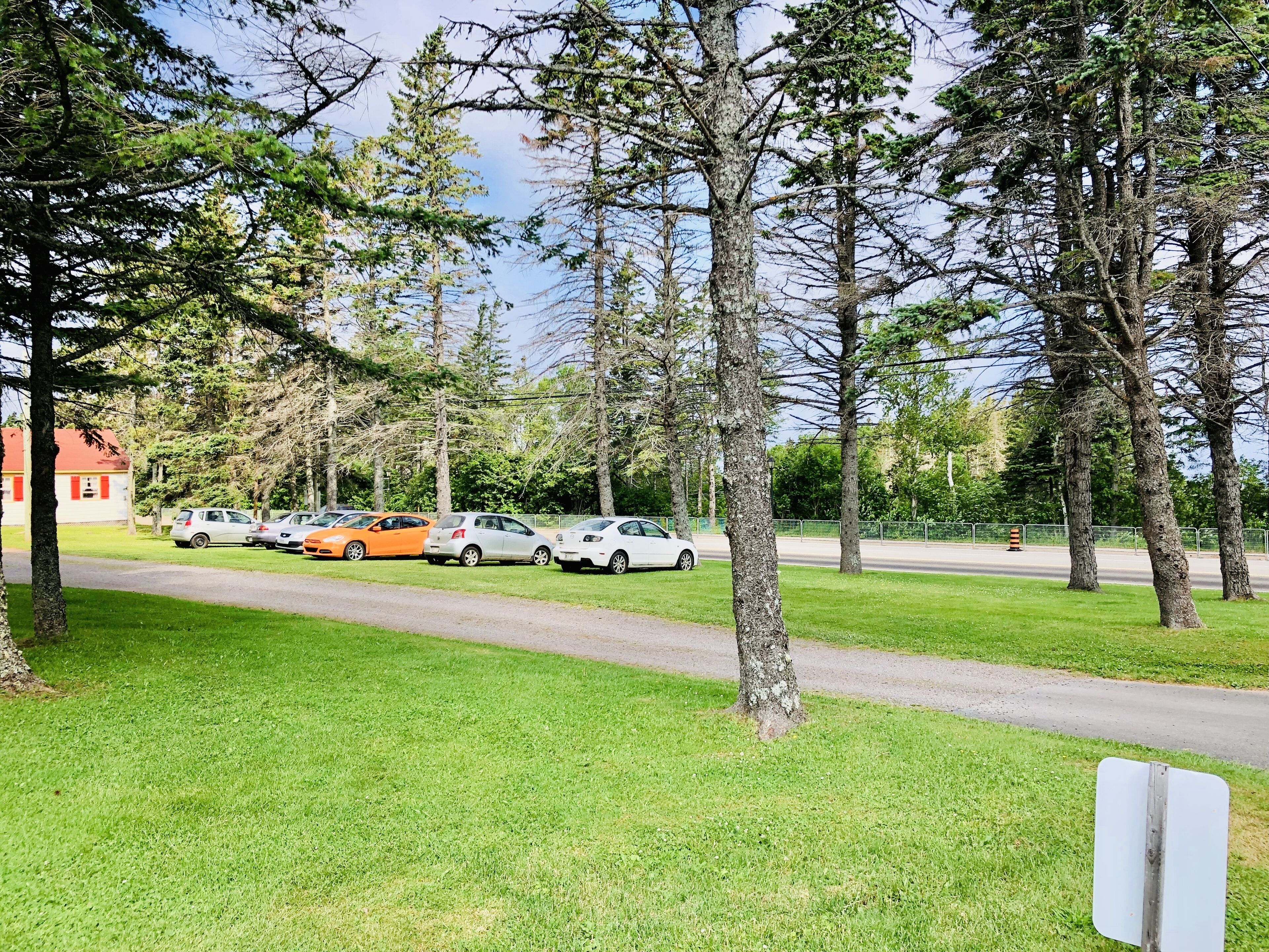 A parking area with several cars, surrounded by trees and a grassy area.