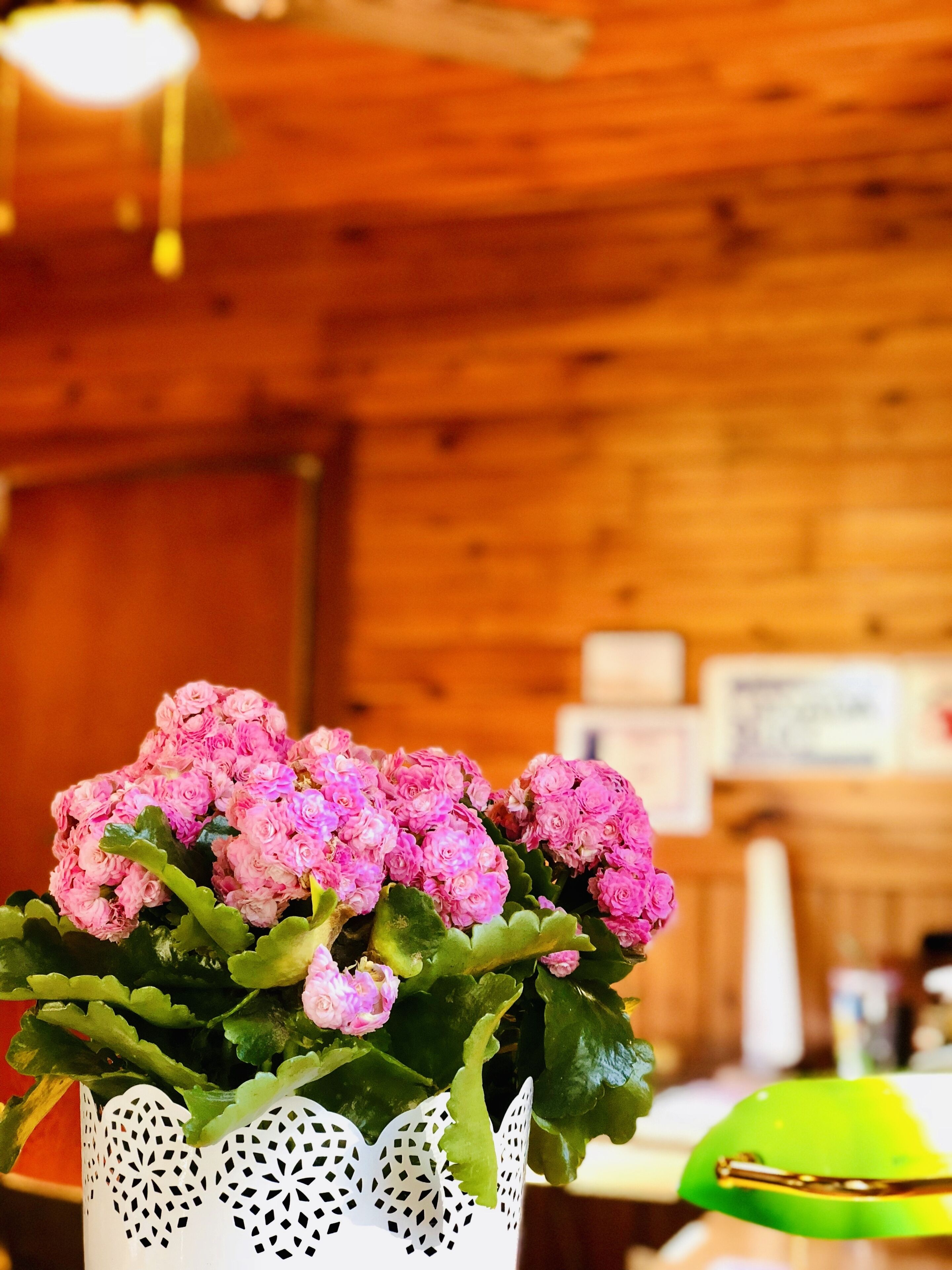 A white vase with pink flowers and green leaves.