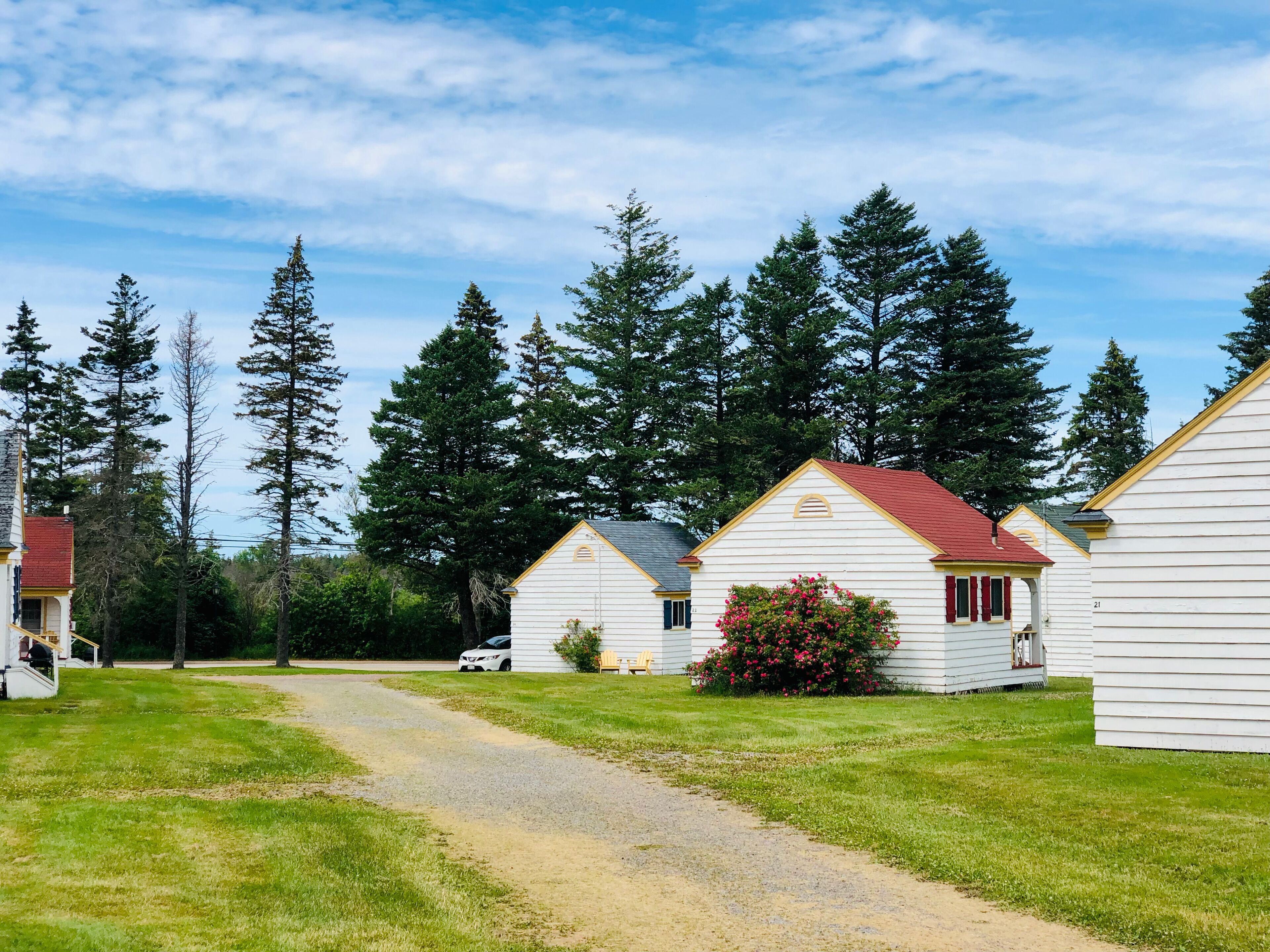A row of white cabins with red roofs, surrounded by tall trees and a clear sky.