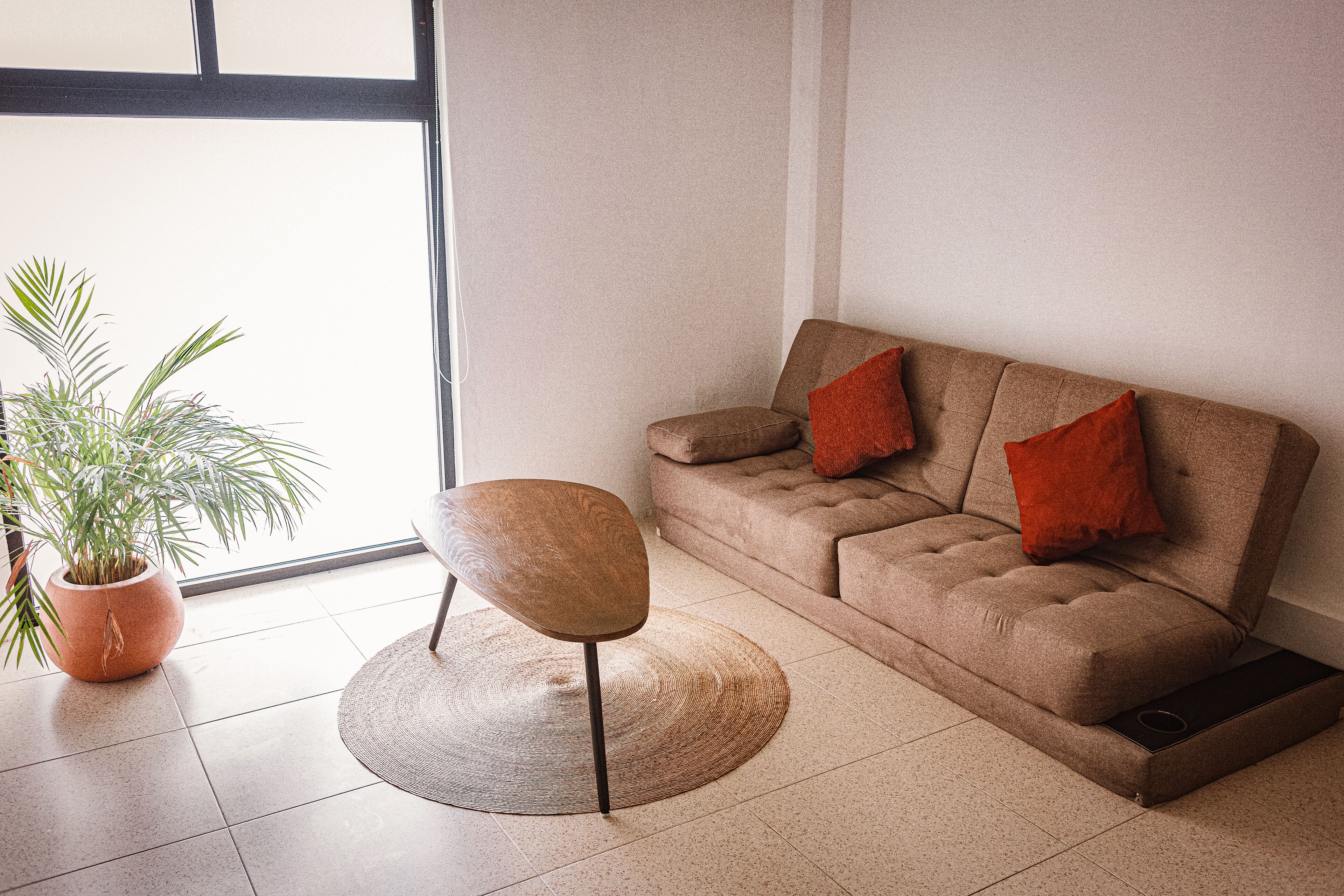 A modern living room with a sofa, a round woven rug, a wooden chair, and a potted plant.
