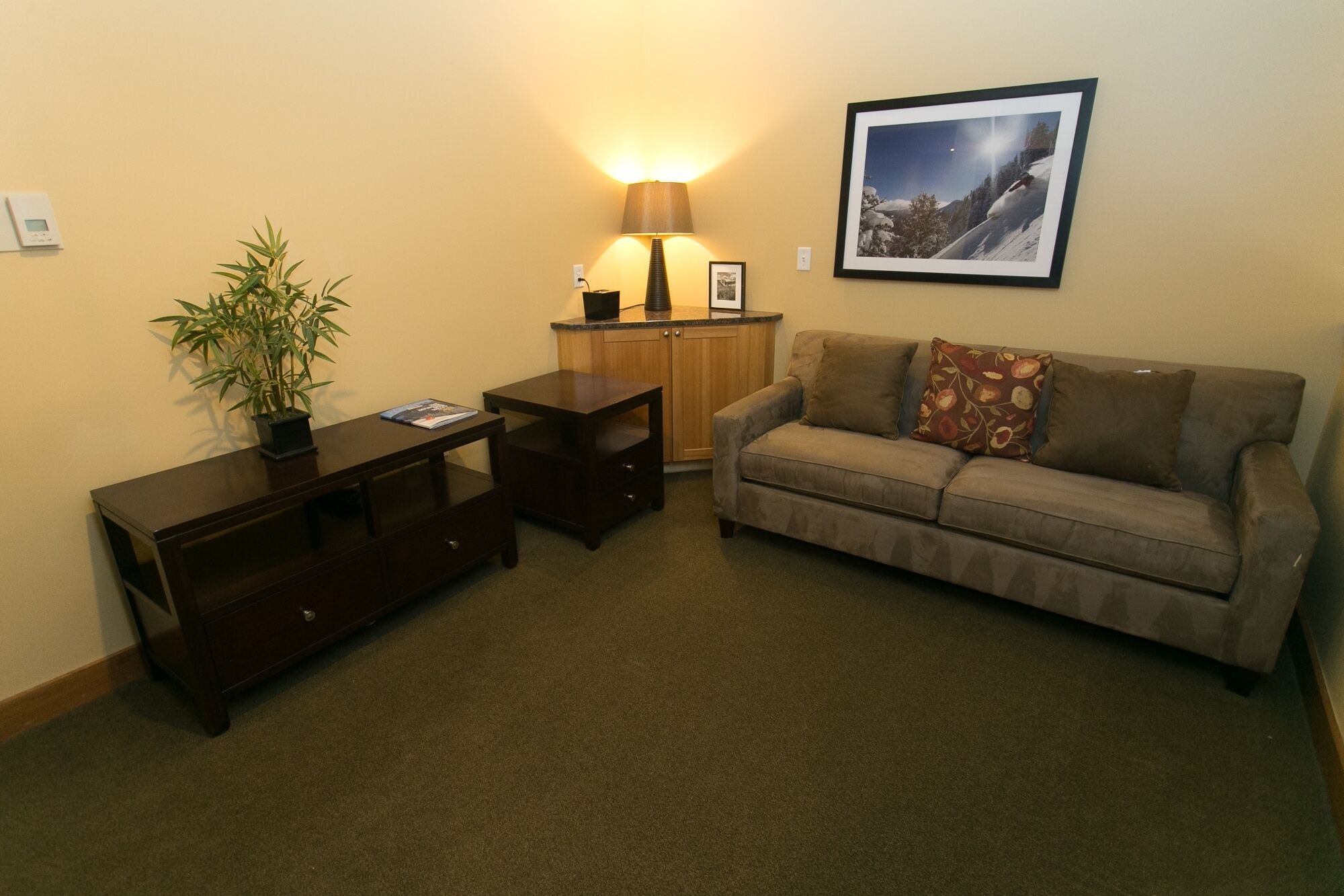 A living room with a sofa, a coffee table, a lamp, a framed picture on the wall, and a potted plant.