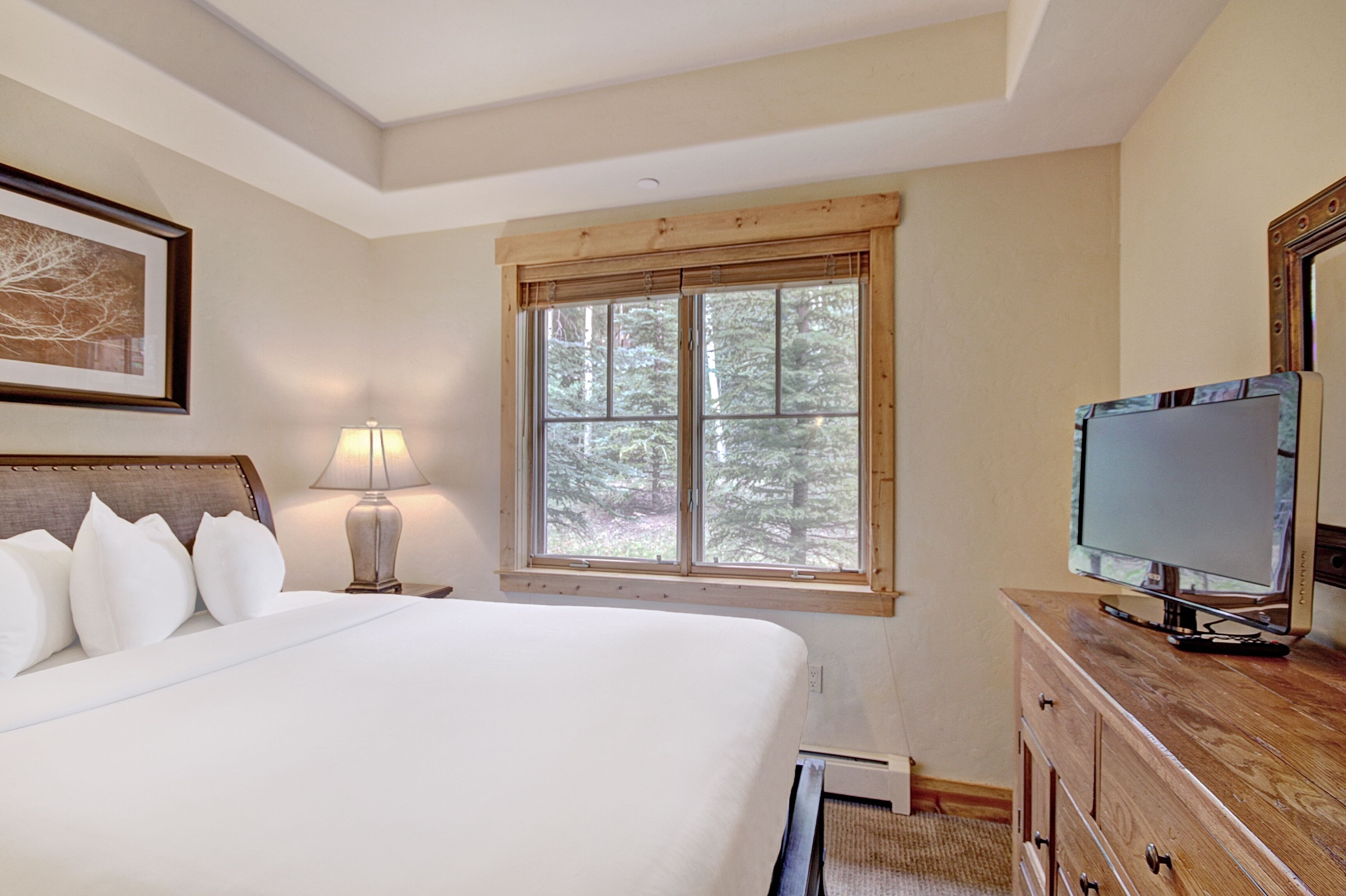 A bedroom with a large bed, a wooden headboard, a window with a view of trees, a bedside lamp, and a television on a wooden dresser.