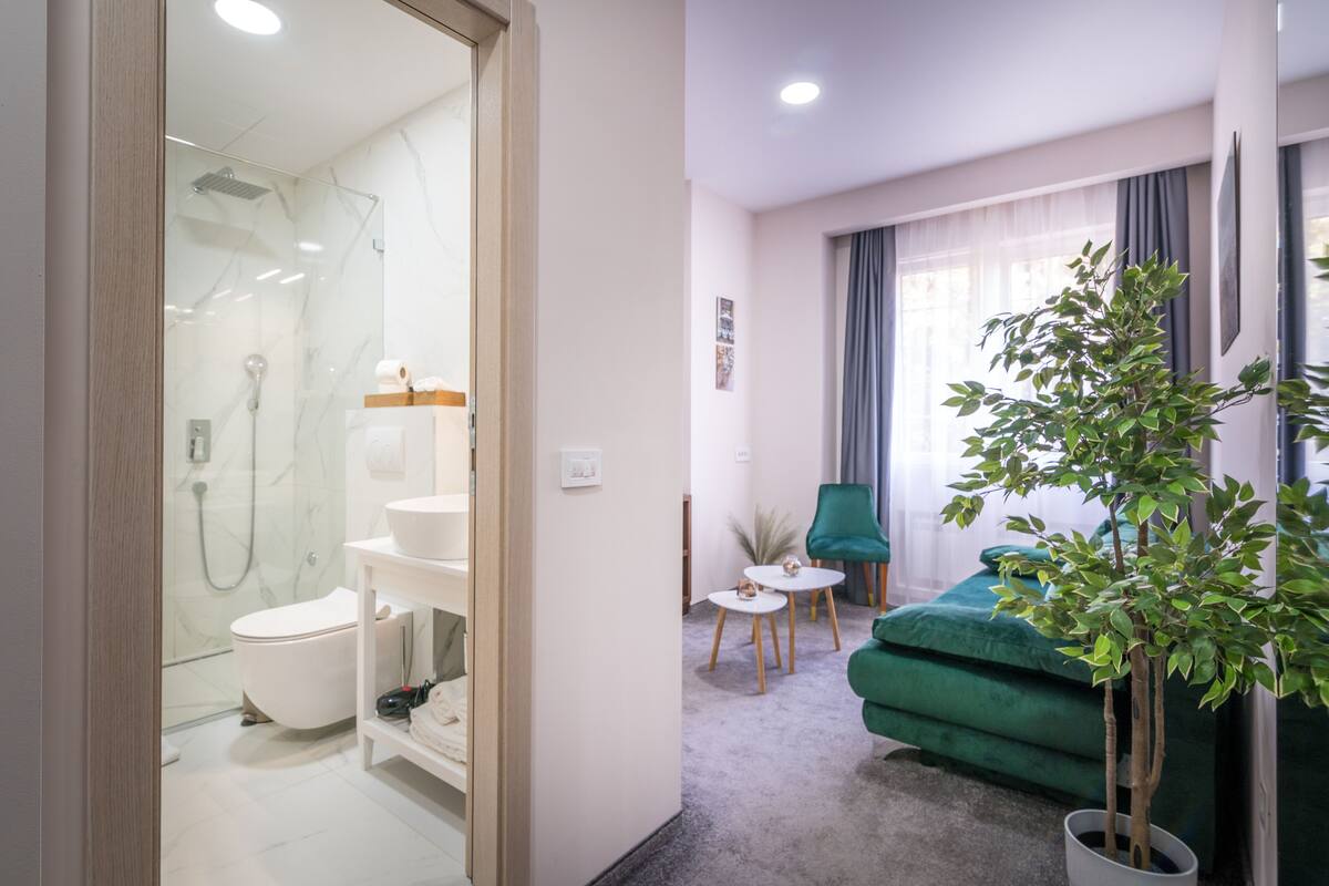 A modern bathroom with a glass shower enclosure, a white toilet, and a sink with a mirror. There is a green sofa and a small table with a plant in the living area.