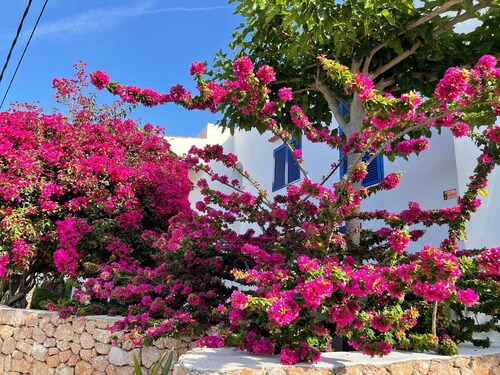 Villa in Ibiza near Stunning Beaches