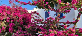 Villa in Ibiza near Stunning Beaches