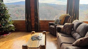 Smart-tv, pejs, videospil