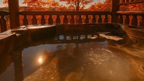 Et spabad med træpergola, et træ med orange blade og en klar himmel.