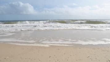 Playa en los alrededores