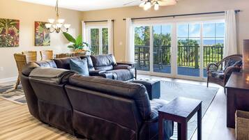 Smart TV, DVD player, books, video library