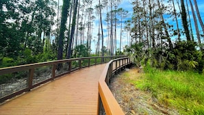A wooden boardwalk with a metal railing, surrounded by tall trees and greenery. - Fall is spectacular on the Cape! Book your trip now (Port St Joe)