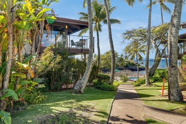 Un complexe hôtelier doté d’un balcon en verre, de palmiers et d’un sentier menant à une piscine.