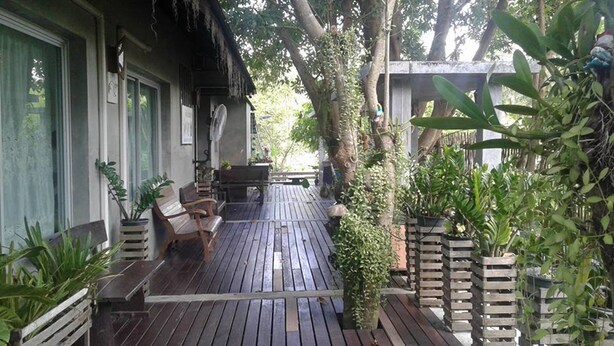 A wooden deck with outdoor seating, surrounded by potted plants and trees.