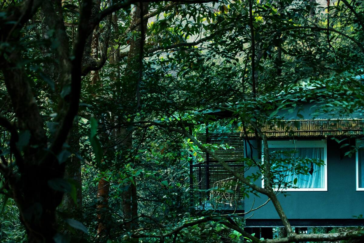 Une maison entourée d’une forêt dense.