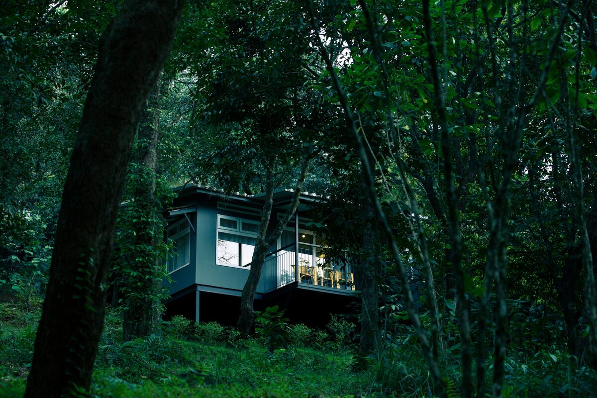 Une maison dans les arbres moderne, dotée d’un balcon en verre et entourée d’une forêt dense.