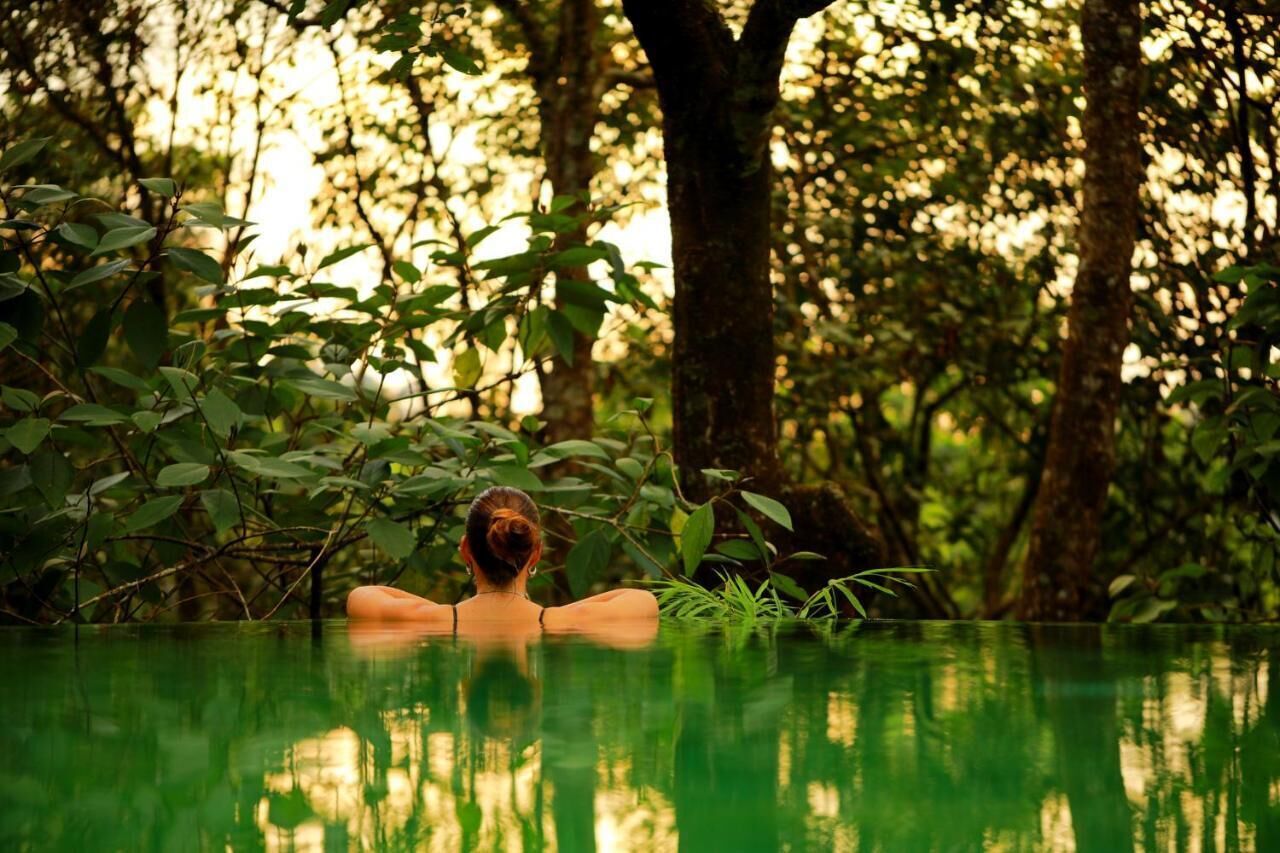 Una persona en una piscina natural rodeada de árboles.