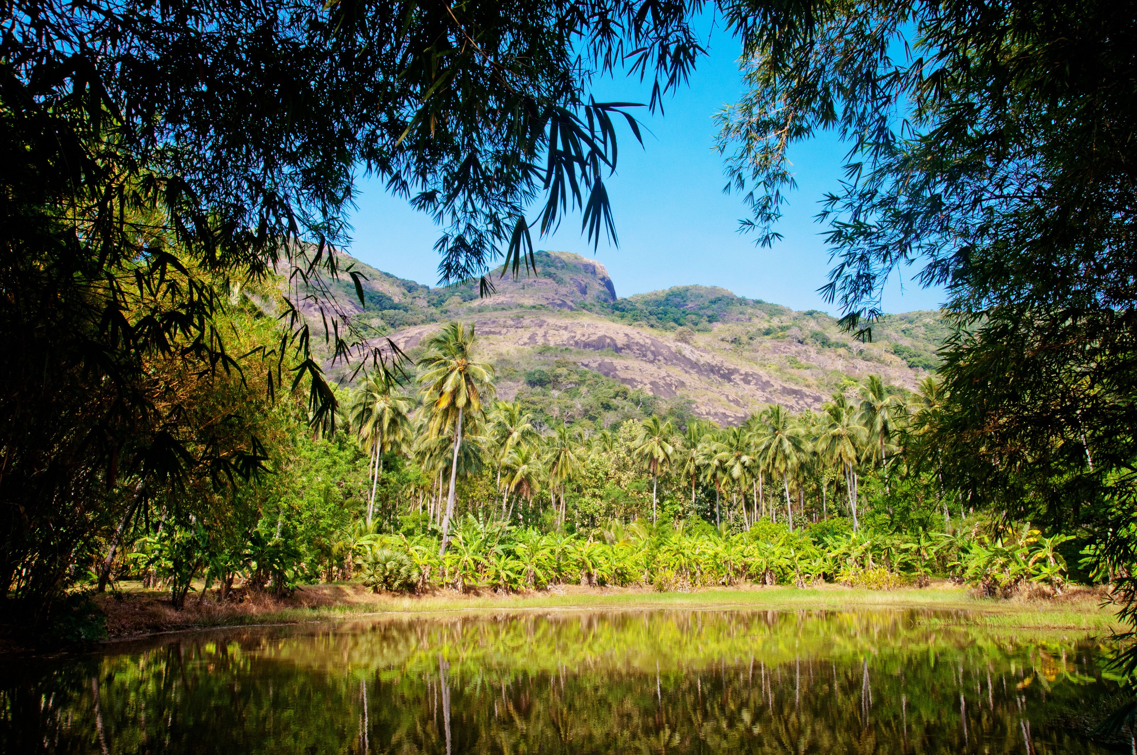Un paisaje sereno con un lago tranquilo, abundante vegetación y una montaña al fondo.