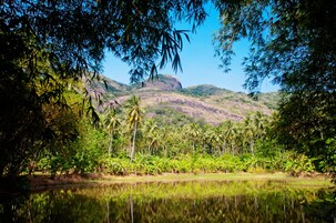Un paisaje sereno con un lago tranquilo, abundante vegetación y una montaña al fondo.