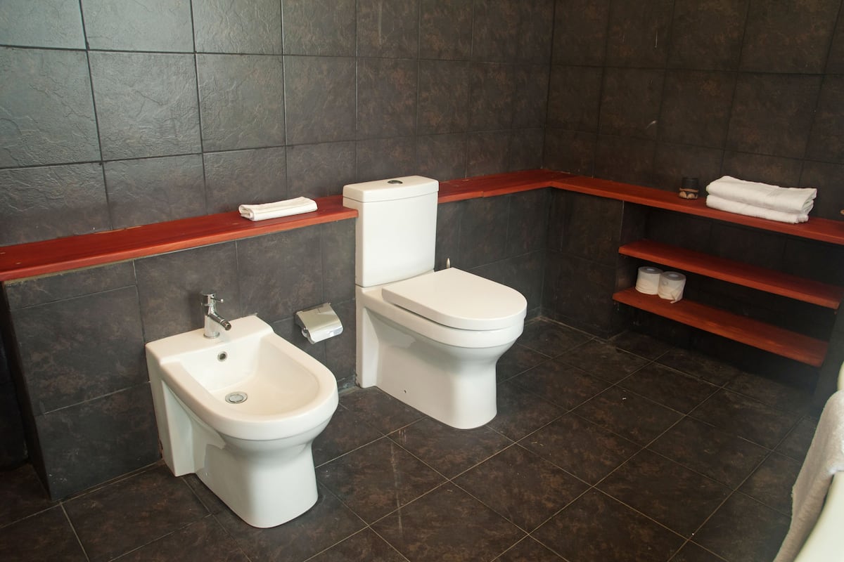 Shower, free toiletries, hair dryer, bidet