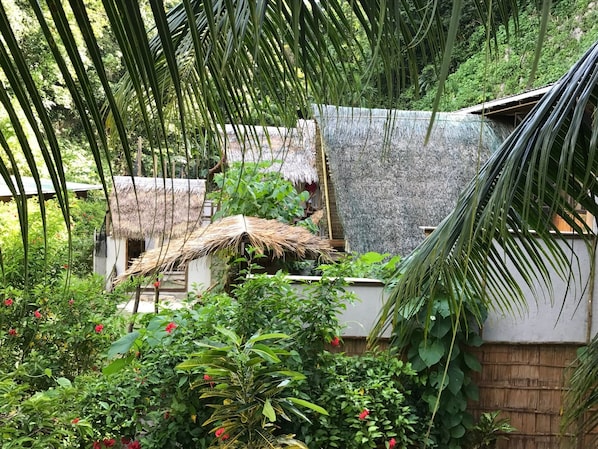 Front of property - Ngellil Nature Island Resort (Airai)