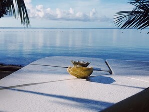 Pool - Ngellil Nature Island Resort (Airai)