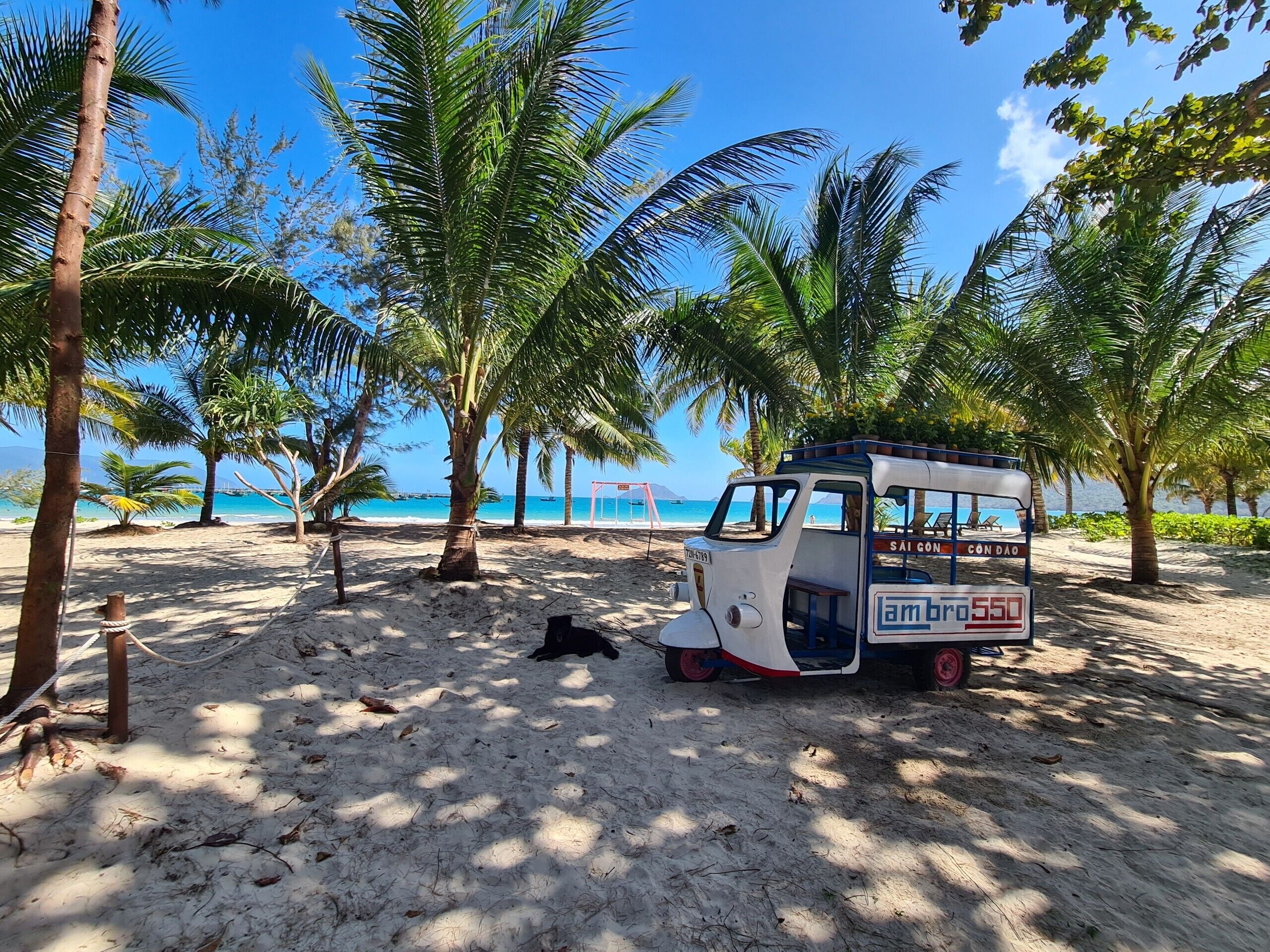A beachside tuk-tuk with a sign reading "SAI GON CON DAO" parked on sandy ground, surrounded by palm trees and a clear blue sky.