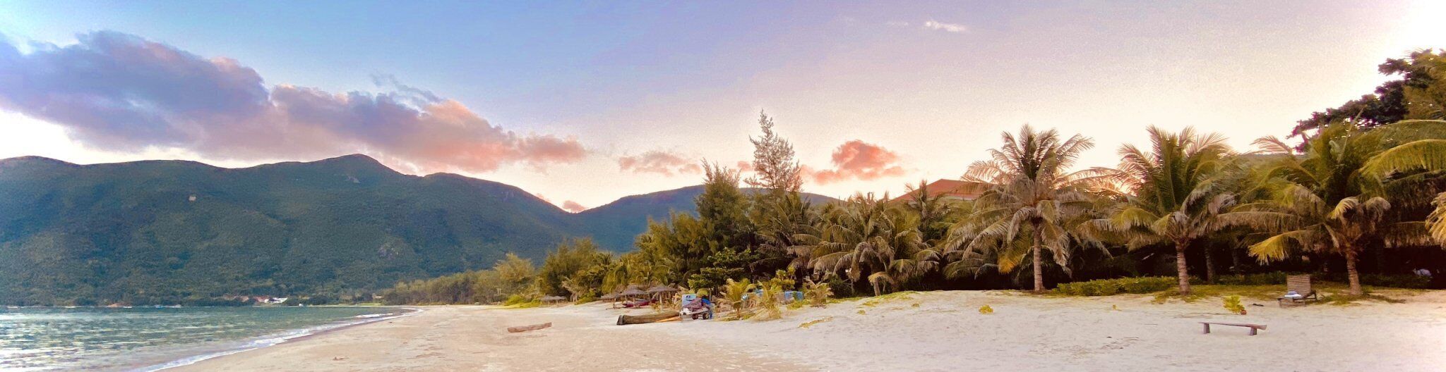 A beach with palm trees and mountains in the background.