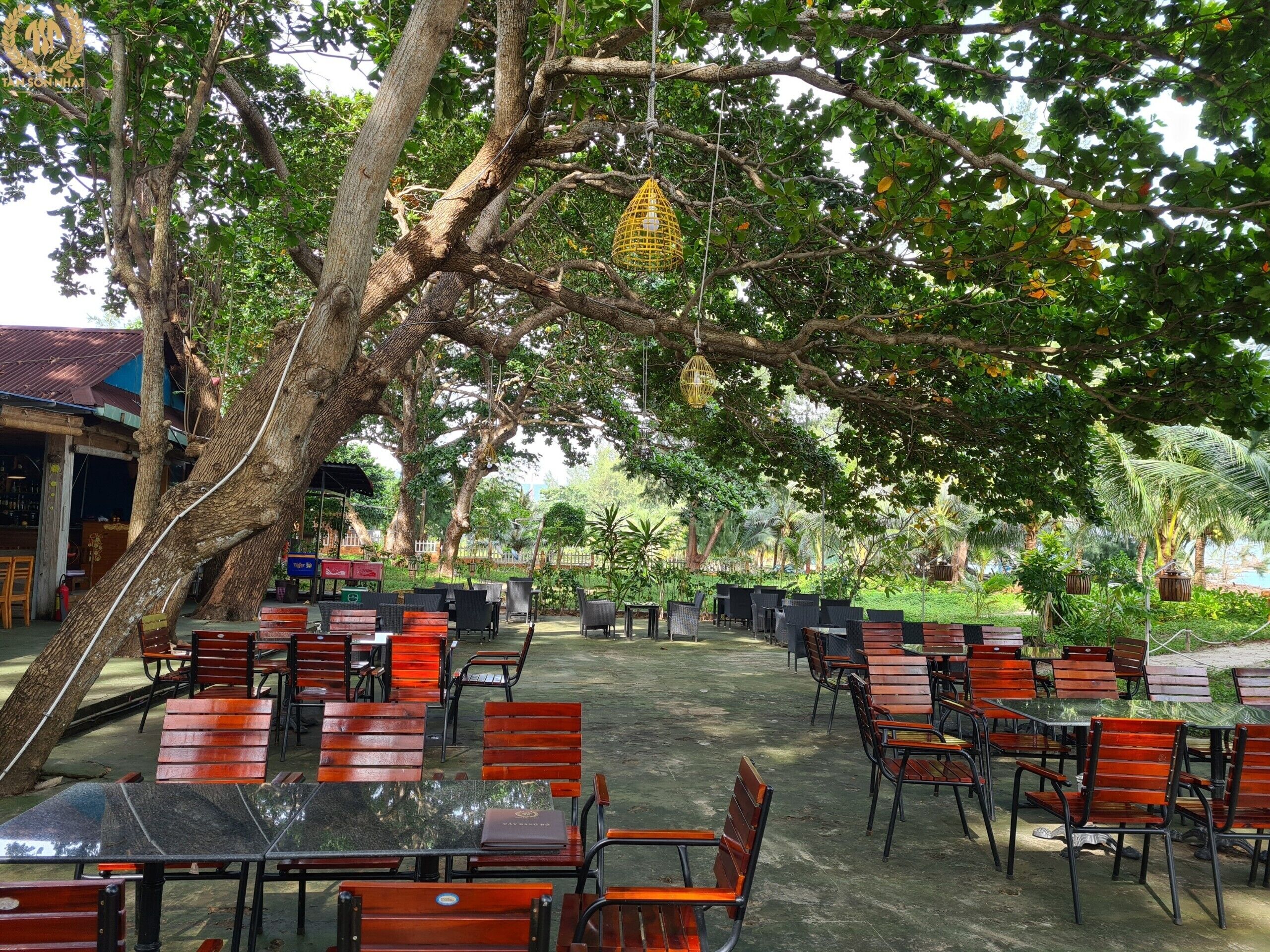 on the beach, white sand, beach bar