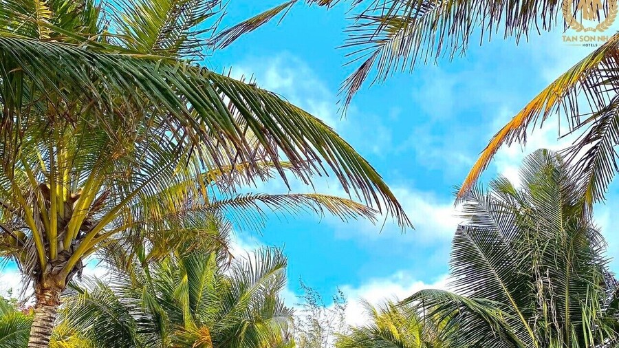 Tan Son Nhat Con Dao Resort