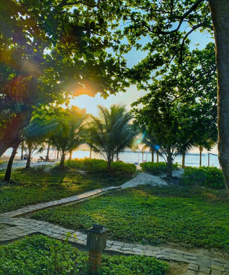 A pathway leading to a beach with palm trees and a view of the sea.