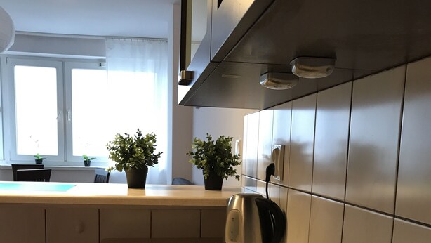 Una cucina moderna con un piano cottura a induzione nero, un bollitore e piante in vaso sul ripiano.