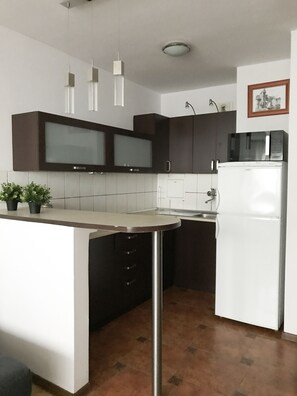 Apartamento conforto, 1 cama Queen e sofá-cama, para não fumantes, vista para a cidade | Cozinha privada | Geladeira, micro-ondas, cooktop, cafeteira/chaleira