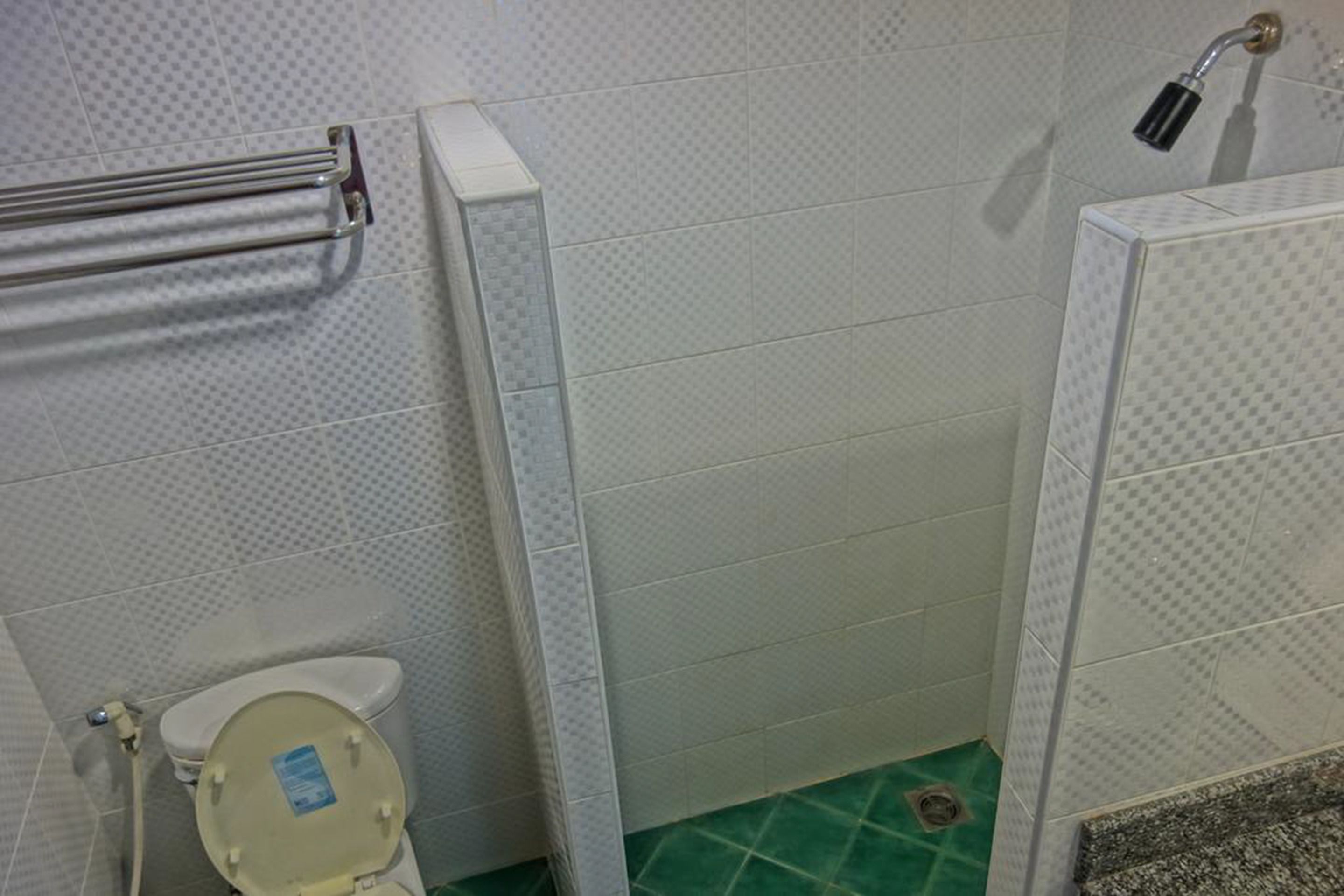 A bathroom with a toilet, a shower, and a towel rack.